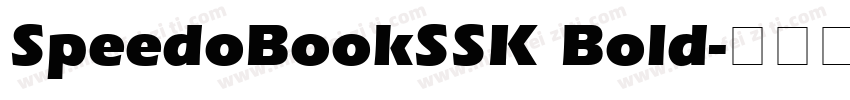 SpeedoBookSSK Bold字体转换